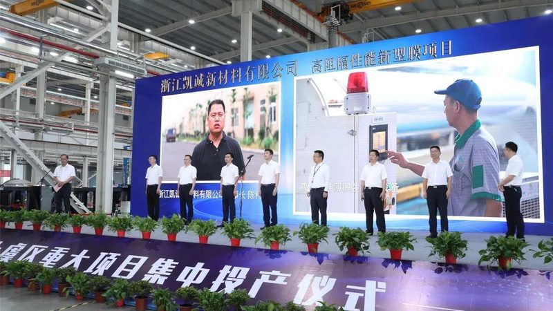 工业添加剂定制：如何确保品质与合规？**